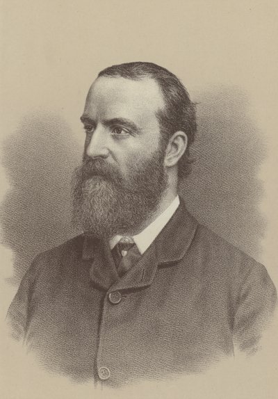 Charles Stewart Parnell, Irish Nationalist Political Leader, Land Reform Agitator, and the Founder and Leader of the Irish Parliamentary Party by English School